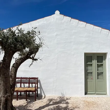 Casa Da Oliveira - Monte Branco *